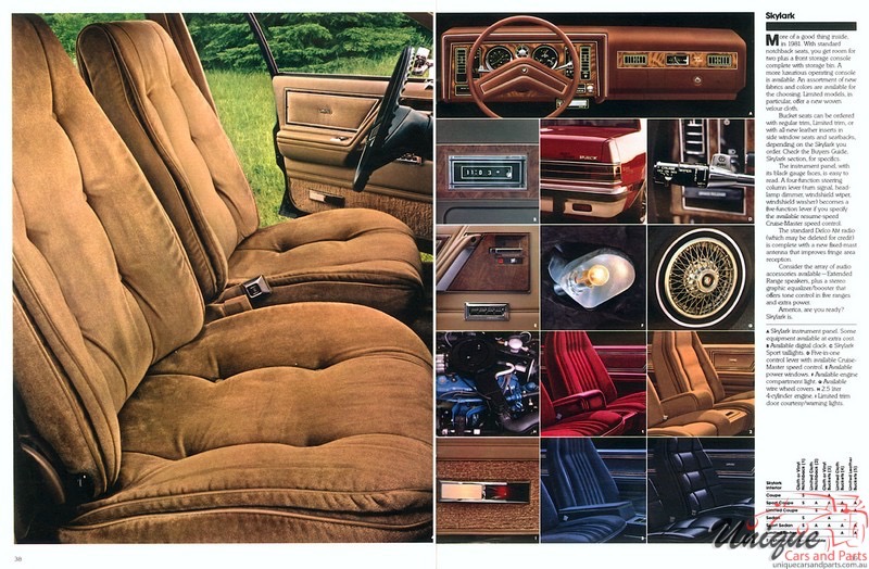 1981 Buick Brochure Page 24